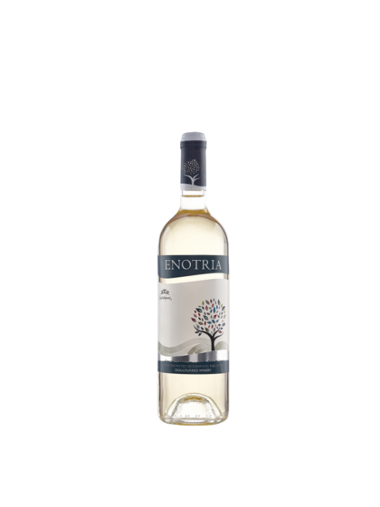 Enotria valge kuiv KGT-vein väike pudel 2022, 12,5% 375 ml