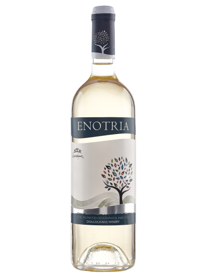 Enotria valge kuiv KGT-vein väike pudel 2022, 12,5% 375ml