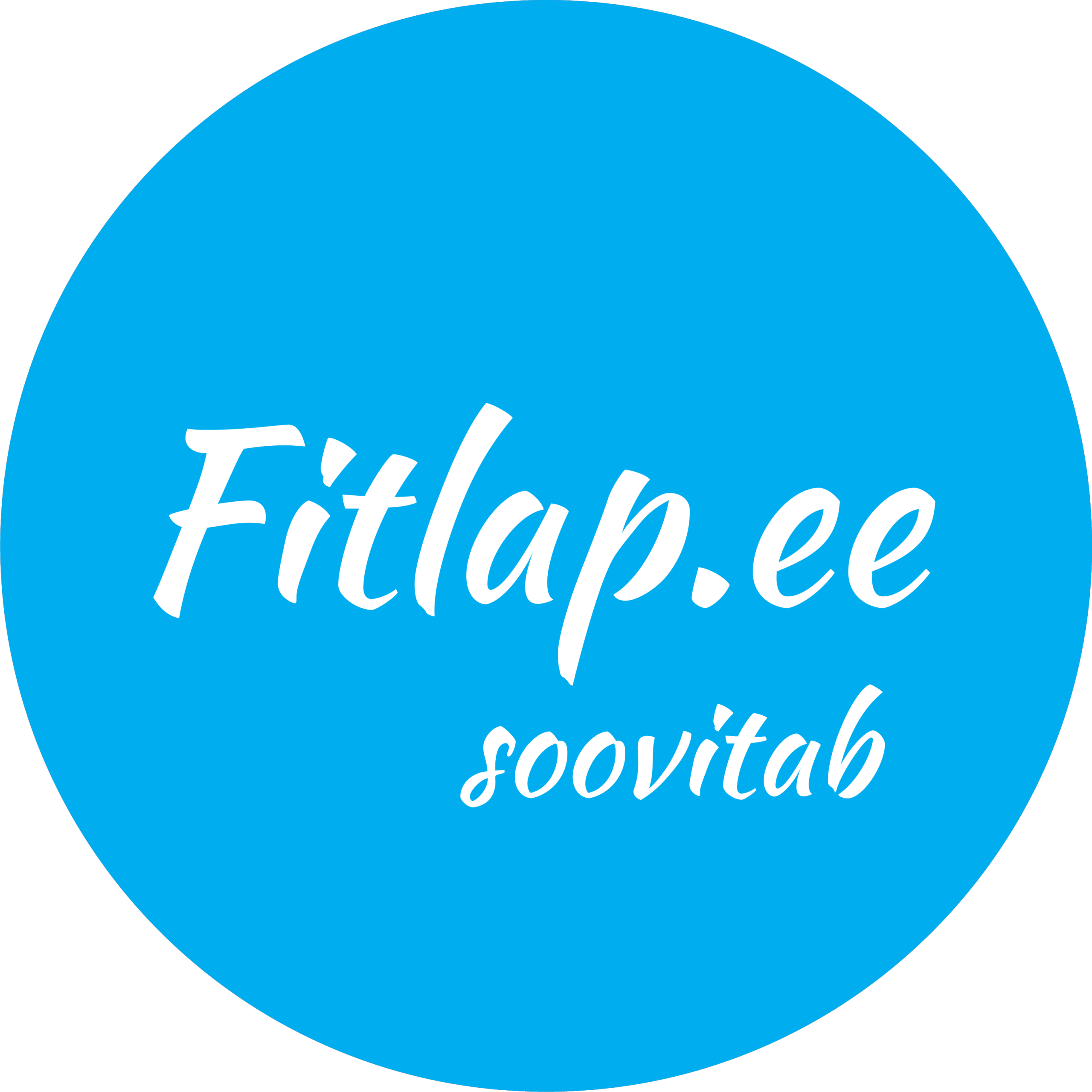 Fitlap brändi logo