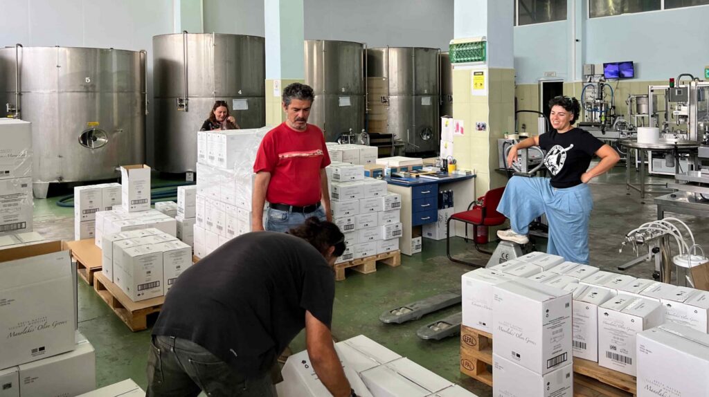 Eleones Manolakis oliiviõlitootmise perefirma Kreetal Episkopis oma tootmises tellimust pakkimas.